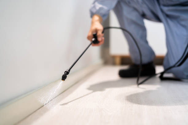 Professional exterminator conducting IPM assessment in Brownsburg