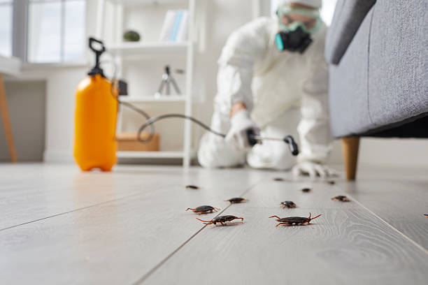 Commercial Kitchen Cockroach Control in Brownsburg